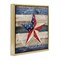 Stupell Industries Patriotic Star & Phrase Floating Frame By Susan Arnot